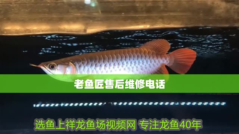 老魚(yú)匠售后維修電話(huà)