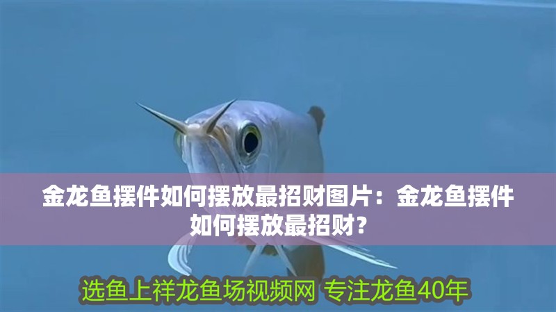 金龍魚(yú)擺件如何擺放最招財(cái)圖片：金龍魚(yú)擺件如何擺放最招財(cái)？