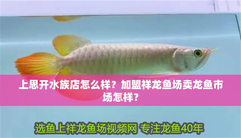 上思開水族店怎么樣？加盟祥龍魚場賣龍魚市場怎樣？
