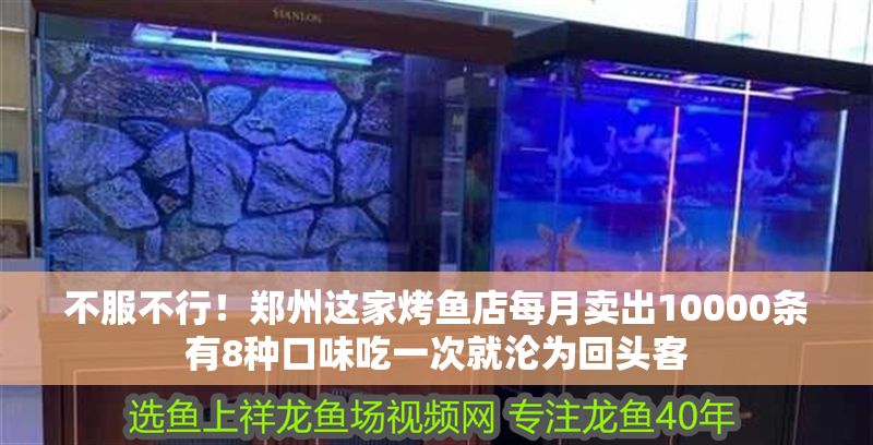 不服不行！鄭州這家烤魚店每月賣出10000條有8種口味吃一次就淪為回頭客 不服不行！鄭州這家烤魚店每月賣出10000條有8種口味吃一次就淪為回頭客 全國水族館企業(yè)名錄 第1張