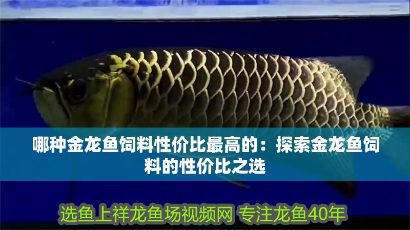哪種金龍魚飼料性價比最高的：探索金龍魚飼料的性價比之選