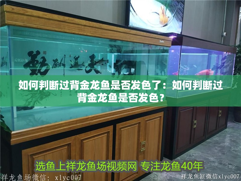 如何判斷過背金龍魚是否發色了：如何判斷過背金龍魚是否發色？