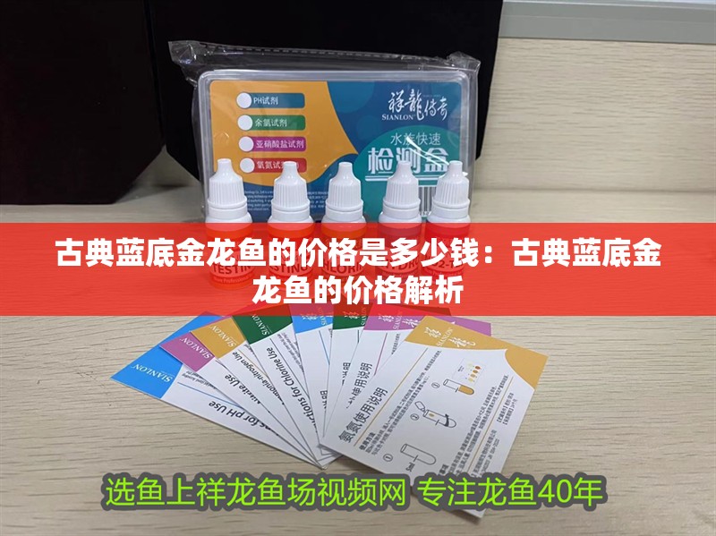 古典藍底金龍魚的價格是多少錢：古典藍底金龍魚的價格解析