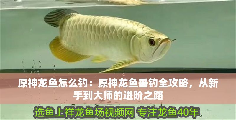原神龍魚怎么釣：原神龍魚垂釣全攻略，從新手到大師的進階之路