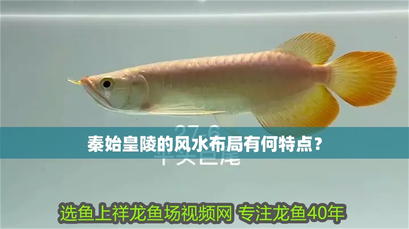 秦始皇陵的風水布局有何特點？