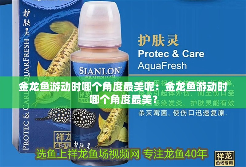金龍魚游動時哪個角度最美呢：金龍魚游動時哪個角度最美？
