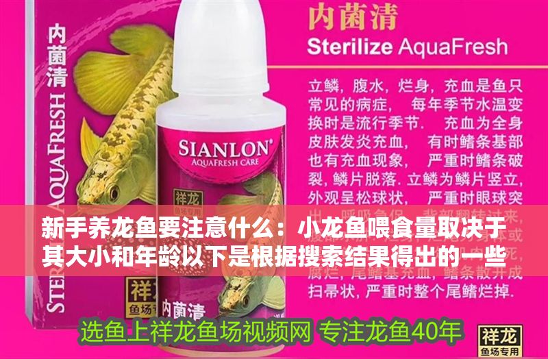 新手養龍魚要注意什么：小龍魚喂食量取決于其大小和年齡以下是根據搜索結果得出的一些建議