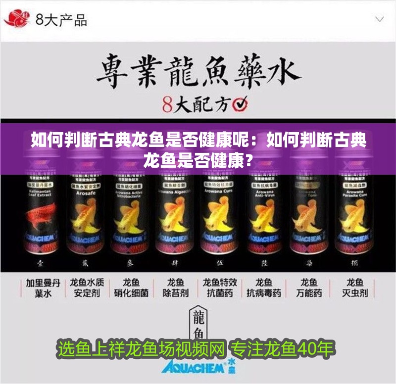 如何判斷古典龍魚是否健康呢：如何判斷古典龍魚是否健康？
