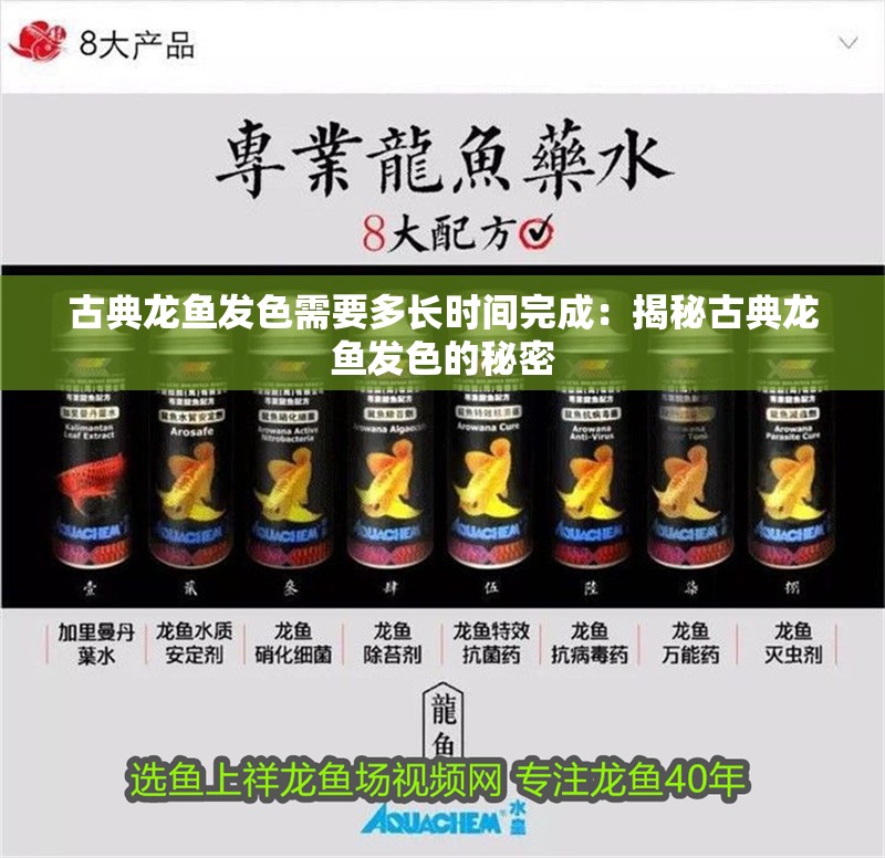 古典龍魚發色需要多長時間完成：揭秘古典龍魚發色的秘密