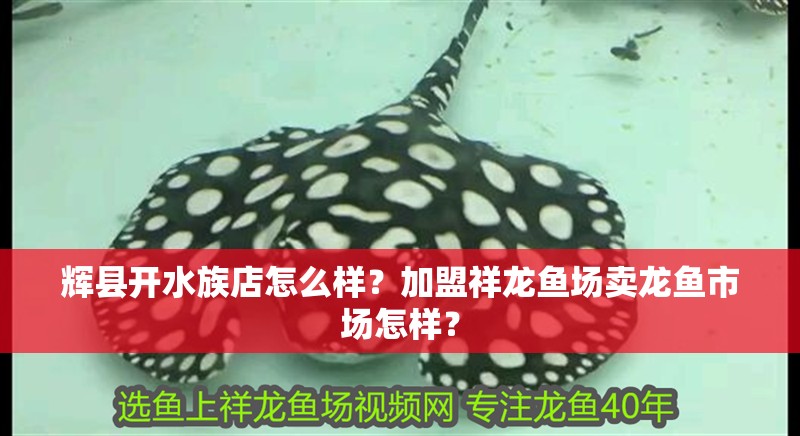 輝縣開水族店怎么樣？加盟祥龍魚場賣龍魚市場怎樣？