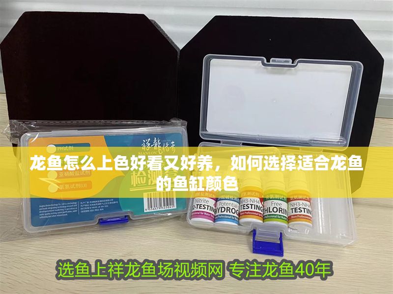 龍魚怎么上色好看又好養(yǎng)，如何選擇適合龍魚的魚缸顏色 龍魚怎么上色好看又好養(yǎng)，如何選擇適合龍魚的魚缸顏色 龍魚百科 第2張
