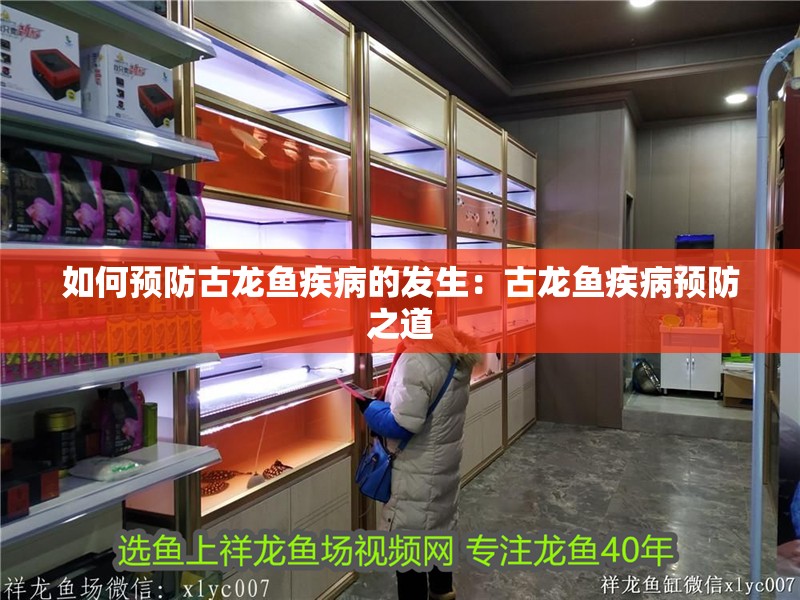 如何預防古龍魚疾病的發生：古龍魚疾病預防之道