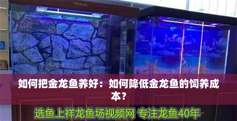 如何把金龍魚養好：如何降低金龍魚的飼養成本？