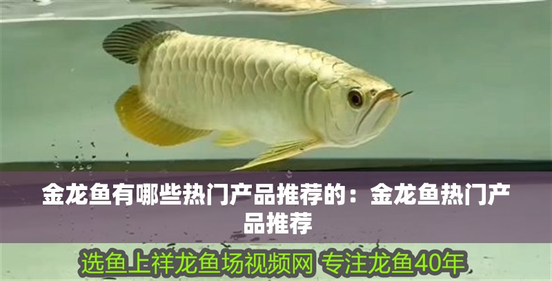 金龍魚有哪些熱門產品推薦的：金龍魚熱門產品推薦
