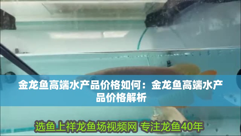 金龍魚高端水產品價格如何：金龍魚高端水產品價格解析