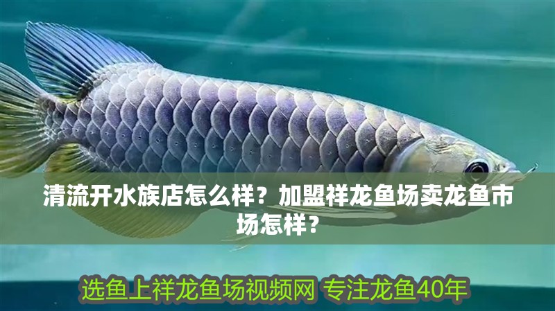 紅龍魚用黃燈烤有用嗎 清流開水族店怎么樣?加盟祥龍魚場(chǎng)賣龍魚市場(chǎng)怎樣? 水族館百科(水族館加盟) 清流開水族店怎么樣?加盟祥龍魚場(chǎng)賣龍魚市場(chǎng)怎樣? 清流開水族店怎么樣?加盟祥龍魚場(chǎng)賣龍魚市場(chǎng)怎樣? 水族館百科(水族館加盟)
