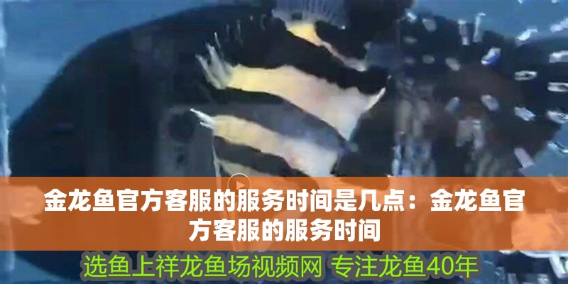 金龍魚官方客服的服務時間是幾點：金龍魚官方客服的服務時間
