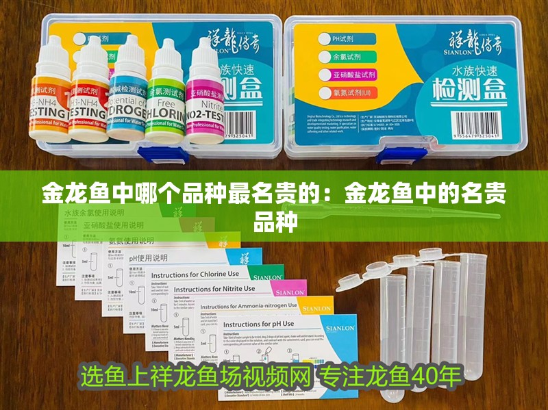 金龍魚中哪個品種最名貴的：金龍魚中的名貴品種