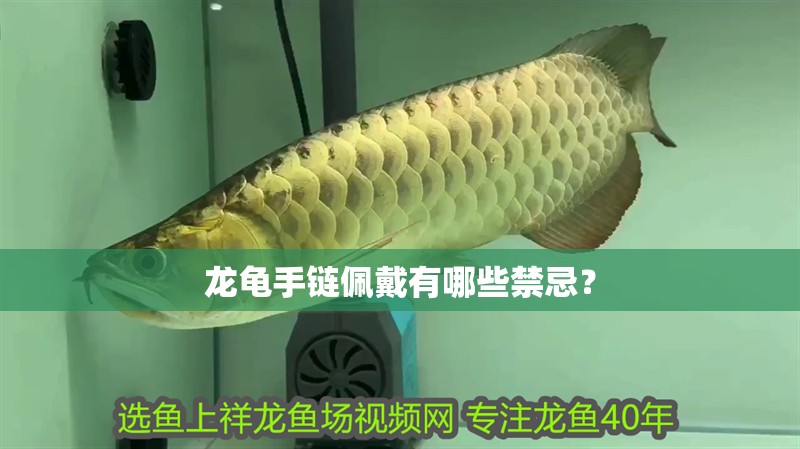 龍龜手鏈佩戴有哪些禁忌？