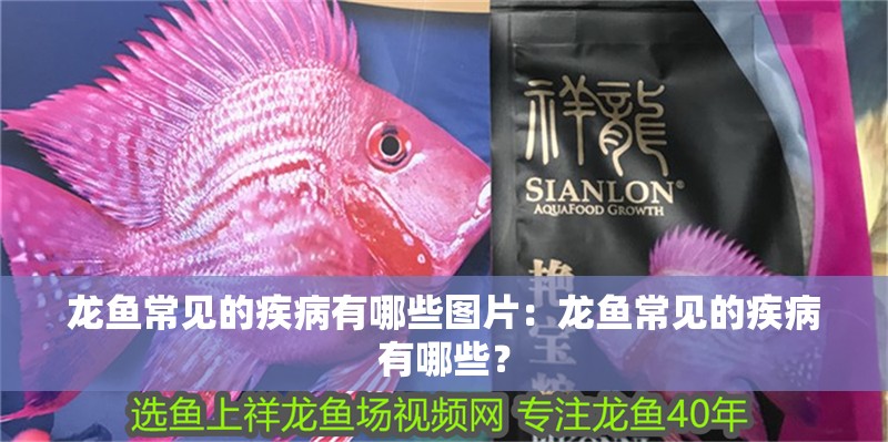龍魚常見的疾病有哪些圖片：龍魚常見的疾病有哪些？