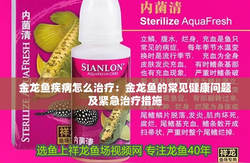 金龍魚疾病怎么治療：金龍魚的常見健康問題及緊急治療措施