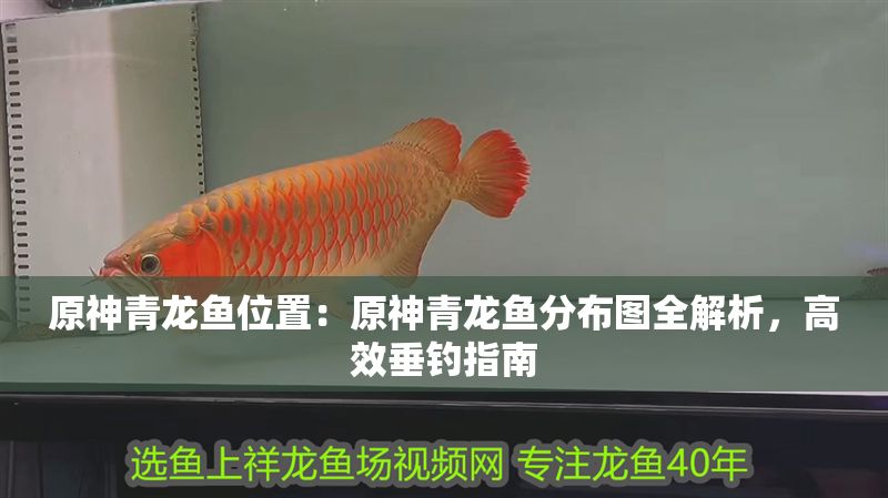 原神青龍魚(yú)位置：原神青龍魚(yú)分布圖全解析，高效垂釣指南