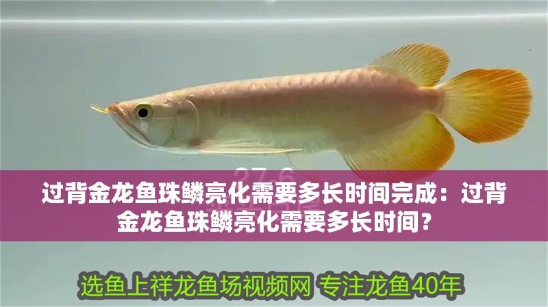 過背金龍魚珠鱗亮化需要多長時間完成：過背金龍魚珠鱗亮化需要多長時間？