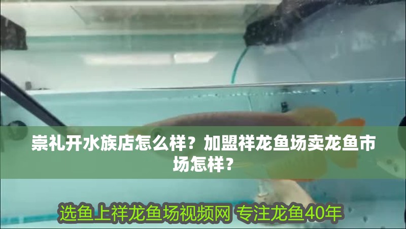 崇禮開水族店怎么樣？加盟祥龍魚場賣龍魚市場怎樣？