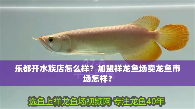 樂都開水族店怎么樣？加盟祥龍魚場賣龍魚市場怎樣？