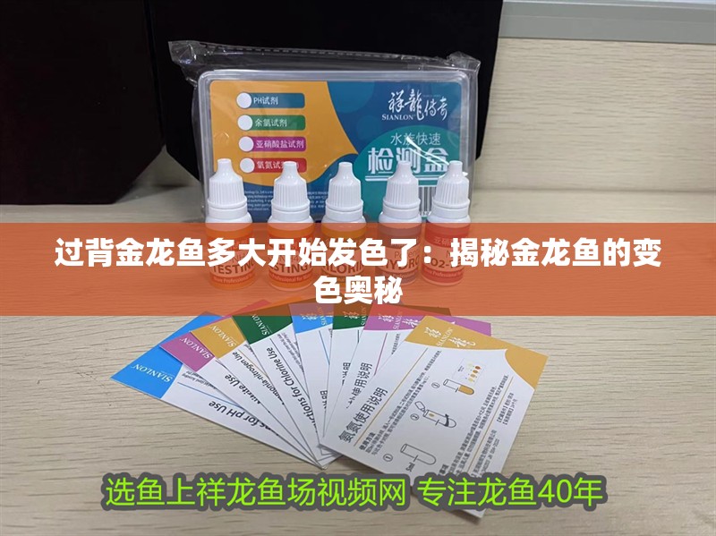 過背金龍魚多大開始發色了：揭秘金龍魚的變色奧秘