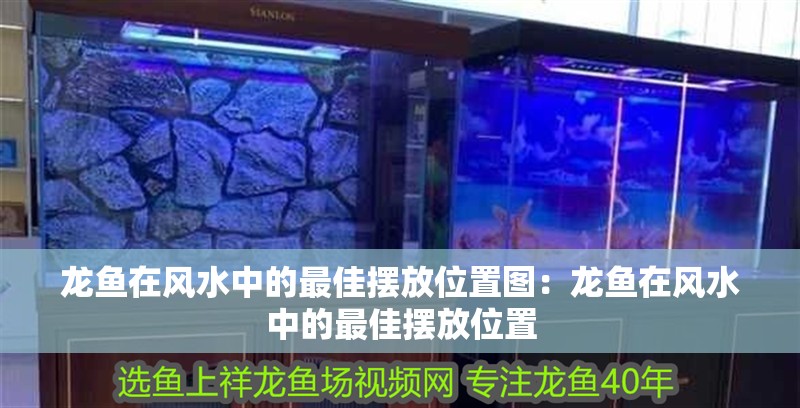 龍魚在風水中的最佳擺放位置圖：龍魚在風水中的最佳擺放位置