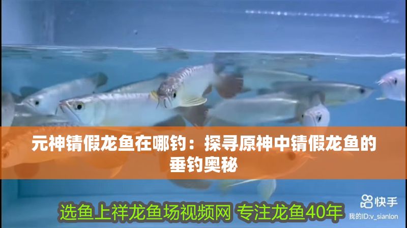 元神錆假龍魚在哪釣：探尋原神中錆假龍魚的垂釣奧秘