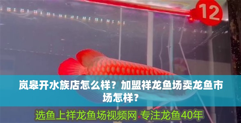 嵐皋開水族店怎么樣？加盟祥龍魚場賣龍魚市場怎樣？