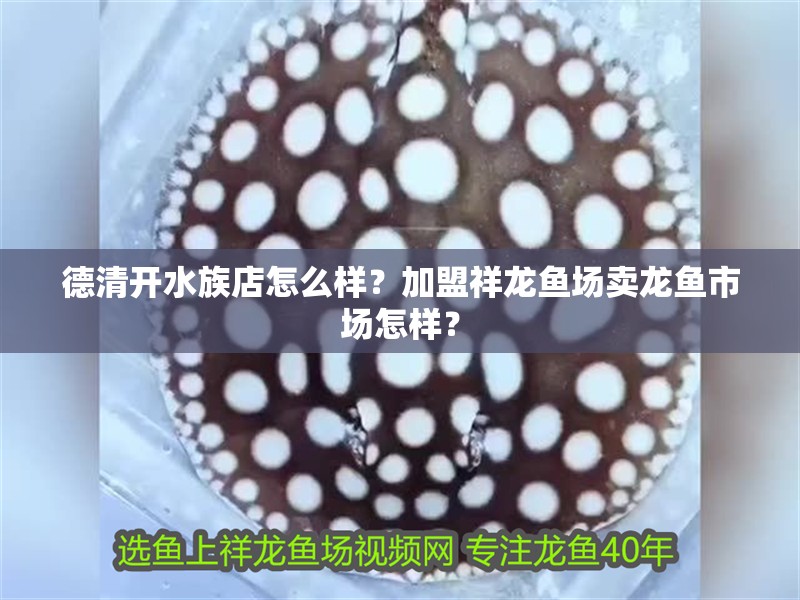 德清開水族店怎么樣？加盟祥龍魚場賣龍魚市場怎樣？