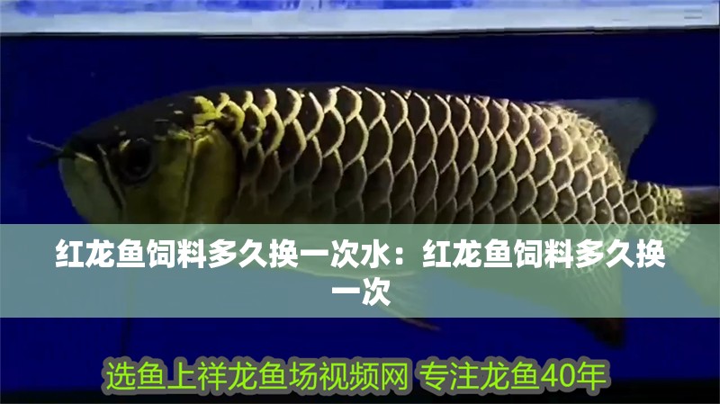 紅龍魚飼料多久換一次水：紅龍魚飼料多久換一次