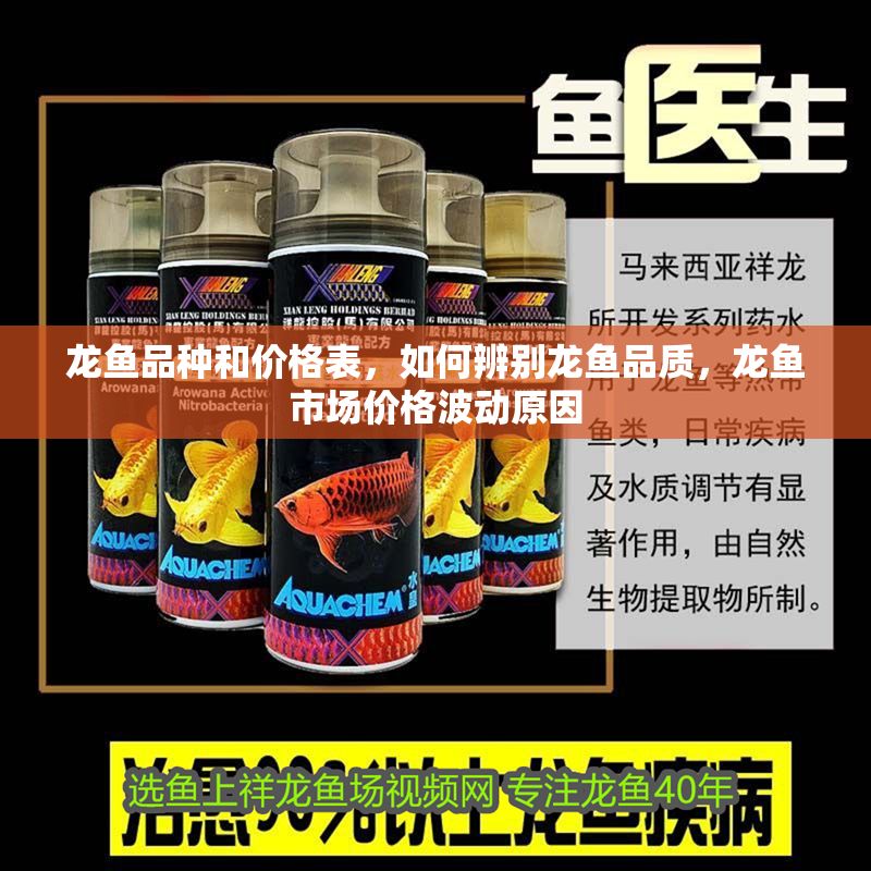 龍魚品種和價格表，如何辨別龍魚品質，龍魚市場價格波動原因 龍魚品種和價格表，如何辨別龍魚品質，龍魚市場價格波動原因 龍魚百科 第2張