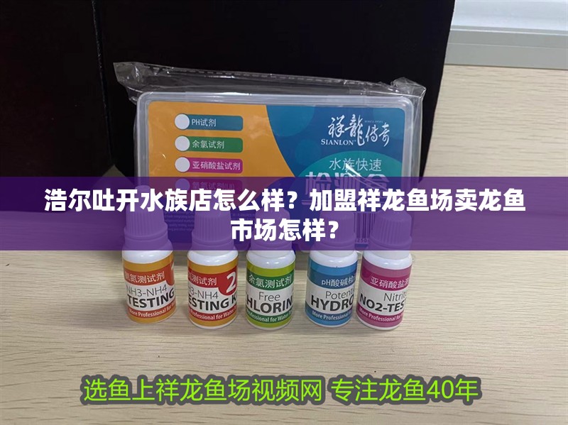 浩爾吐開水族店怎么樣？加盟祥龍魚場賣龍魚市場怎樣？ 浩爾吐開水族店怎么樣？加盟祥龍魚場賣龍魚市場怎樣？ 水族館百科（水族館加盟）