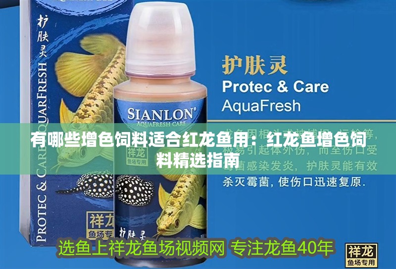有哪些增色飼料適合紅龍魚用：紅龍魚增色飼料精選指南