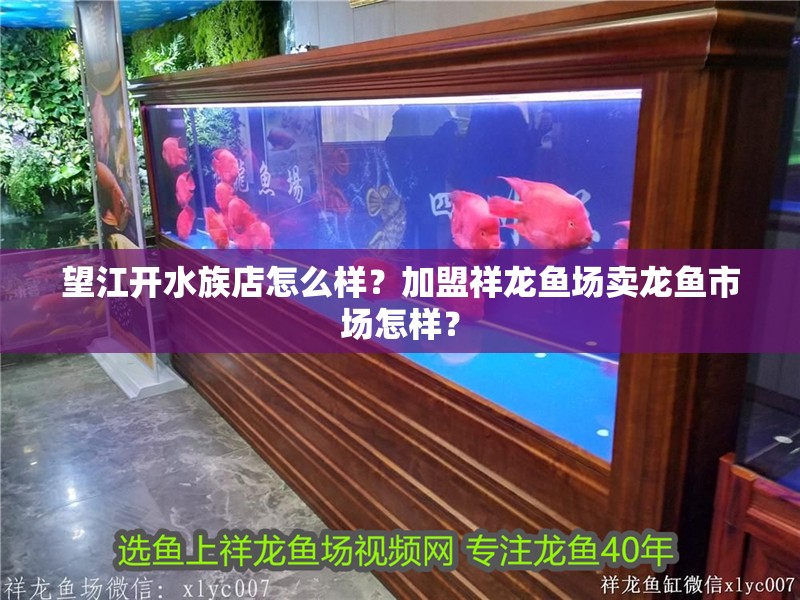 望江開水族店怎么樣？加盟祥龍魚場賣龍魚市場怎樣？