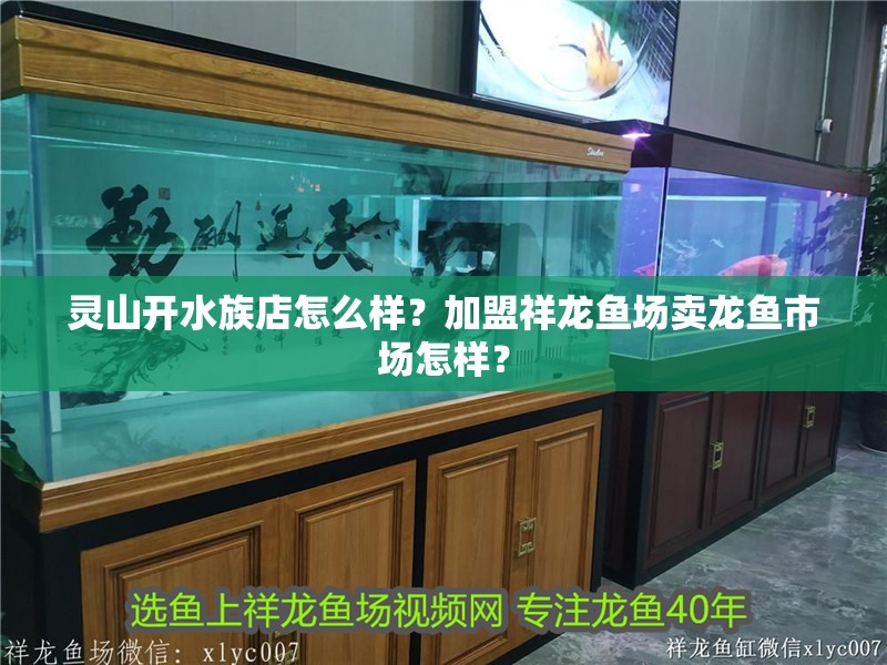 靈山開水族店怎么樣？加盟祥龍魚場賣龍魚市場怎樣？