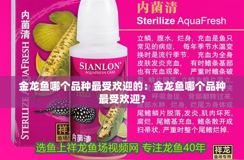 金龍魚(yú)哪個(gè)品種最受歡迎的：金龍魚(yú)哪個(gè)品種最受歡迎？