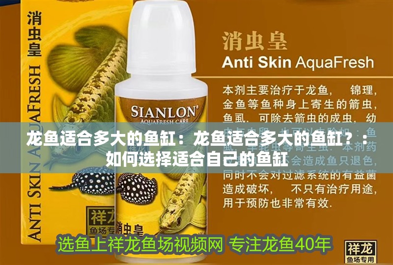 龍魚適合多大的魚缸：龍魚適合多大的魚缸？：如何選擇適合自己的魚缸