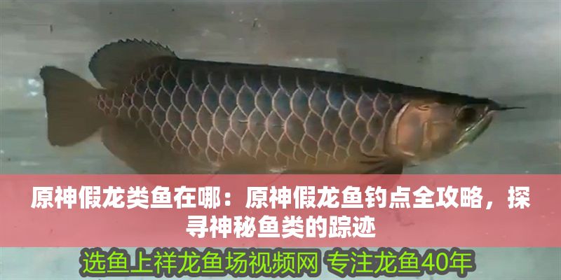 原神假龍類魚在哪：原神假龍魚釣點全攻略，探尋神秘魚類的蹤跡