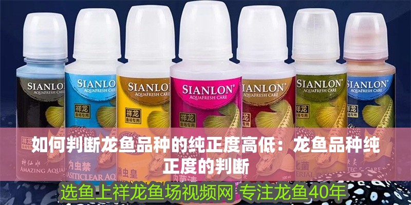 如何判斷龍魚(yú)品種的純正度高低：龍魚(yú)品種純正度的判斷