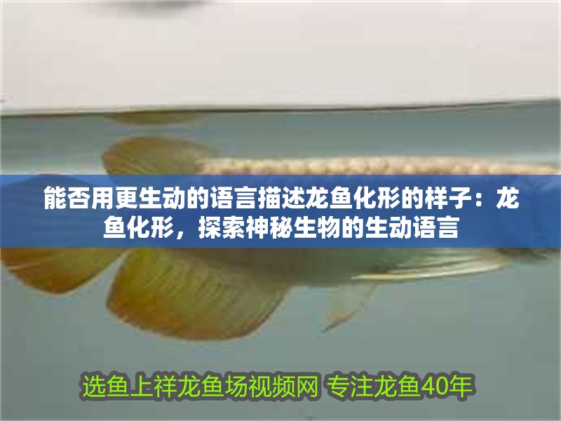 能否用更生動的語言描述龍魚化形的樣子：龍魚化形，探索神秘生物的生動語言