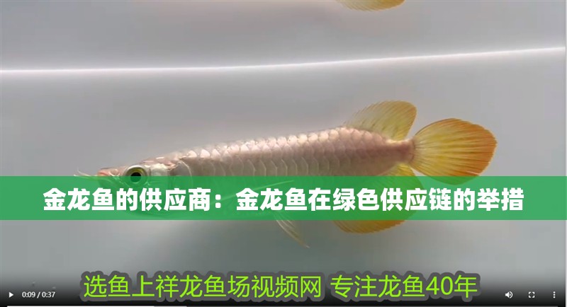 金龍魚的供應商：金龍魚在綠色供應鏈的舉措