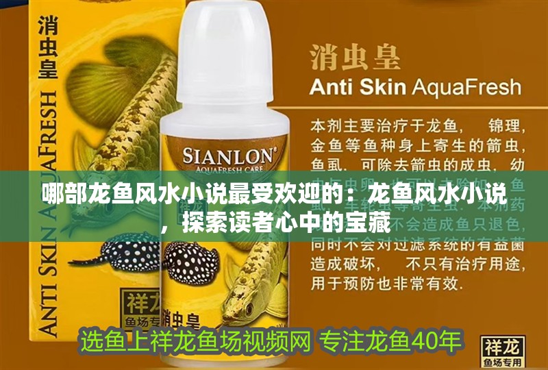 哪部龍魚(yú)風(fēng)水小說(shuō)最受歡迎的：龍魚(yú)風(fēng)水小說(shuō)，探索讀者心中的寶藏