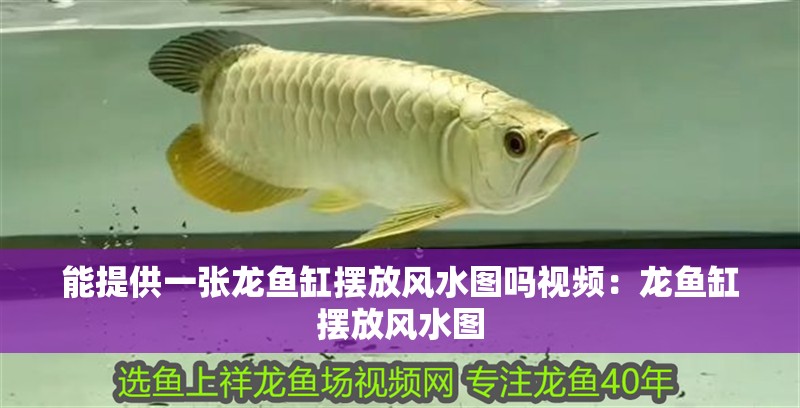 能提供一張龍魚缸擺放風(fēng)水圖嗎視頻：龍魚缸擺放風(fēng)水圖