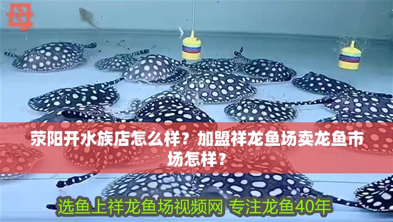 滎陽開水族店怎么樣？加盟祥龍魚場賣龍魚市場怎樣？