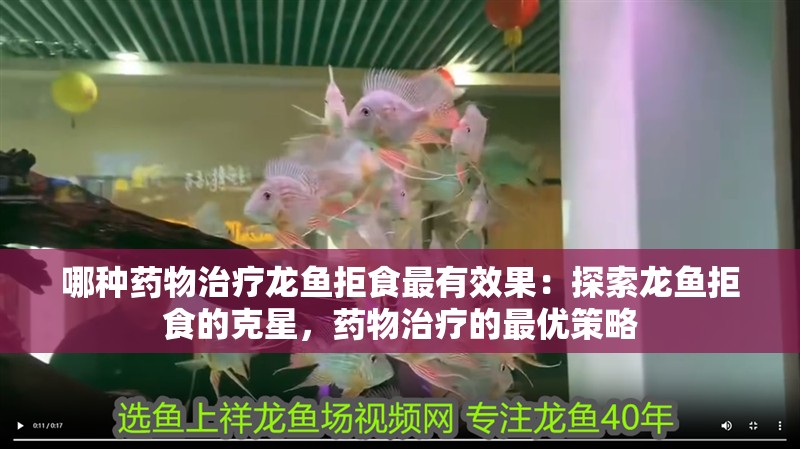 哪種藥物治療龍魚拒食最有效果：探索龍魚拒食的克星，藥物治療的最優(yōu)策略